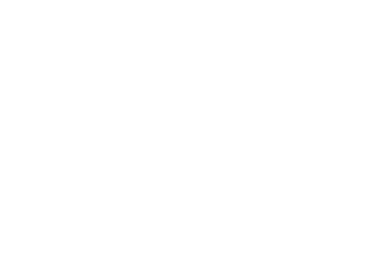 Home - Metiri Group